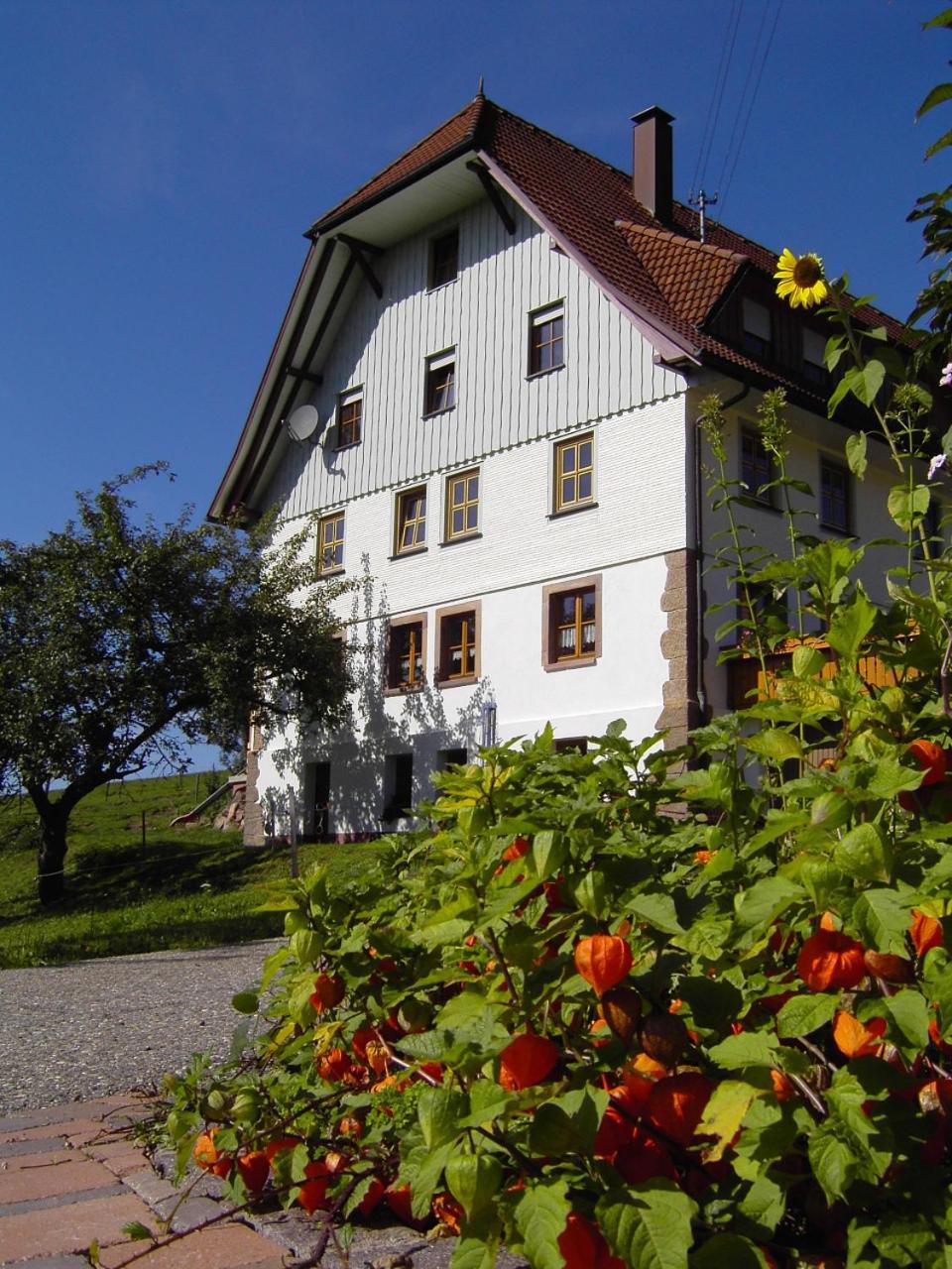 Fehrenbacherhof Naturgaestehaus Lauterbach  Exterior photo